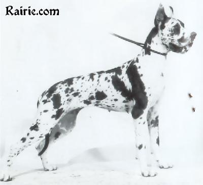 Lana Aus Dem Eldorado