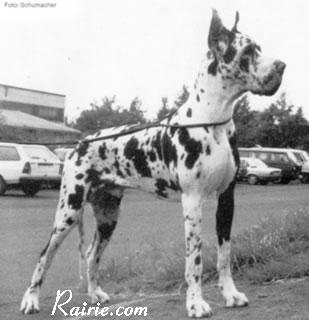 Atlas Aus Der Emirat