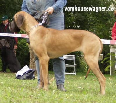 Antonia Bocca D� Tigre