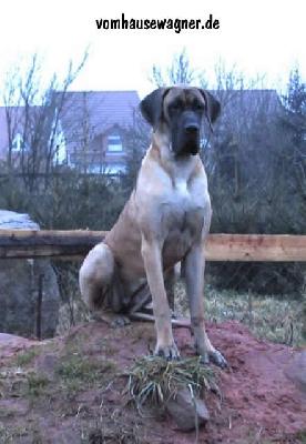 Antonia Bocca D� Tigre