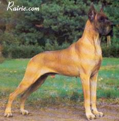 Ch Bernie De La Chatellerie