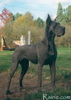 Ch Djenna De La Chatellerie