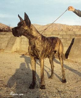 Thora De La Chatellerie