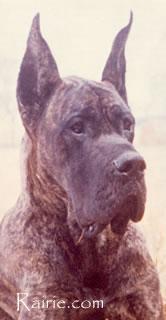 Thora De La Chatellerie