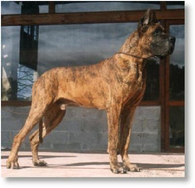 Ch Van Cleef De La Chatellerie