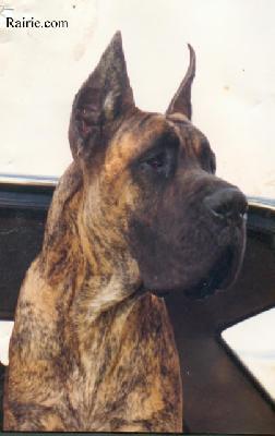 Ch Van Cleef De La Chatellerie