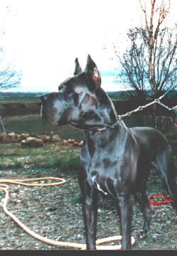 Ch Ems Ii De La Croix D Oc