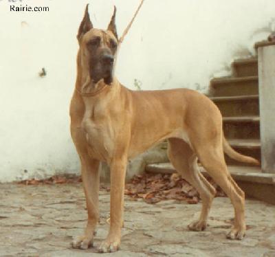 Ch Pales De La Crypte De Loutraki