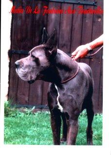 Mutin De La Fontaine Aux Tourterelles