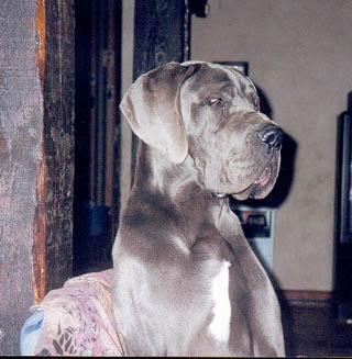 Rahan De La Fontaine Aux Tourterelles