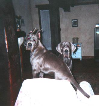 Rebecca De La Fontaine Aux Tourterelles