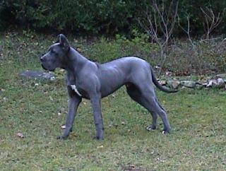 Rohr De La Fontaine Aux Tourterelles