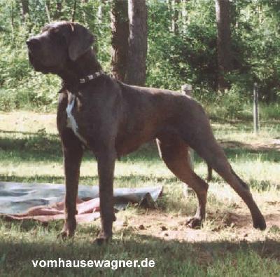 Ch Ronja De La Fontaine Aux Tourterelles