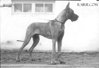 Iann De La Foret De Kaysersberg