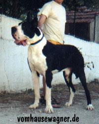 Morgan De La Grande Vigie