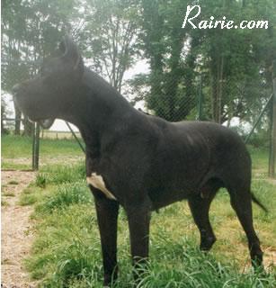 Carl De La Grisonniere