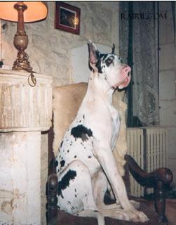 Fascination De La Grisonniere