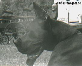 Hullan De La Grisonniere