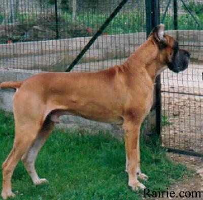 Djebel De La Pierre Du Roy