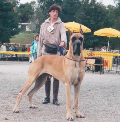 Ch Jat Mahal De La Pierre Du Roy