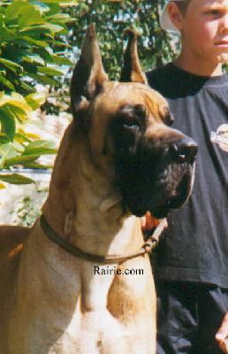 Ch Jat Mahal De La Pierre Du Roy