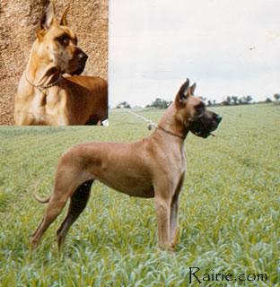 Oxyd De La Pierre Du Roy