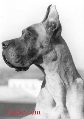 Tifanny De La Pierre Du Roy