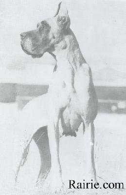 Tifanny De La Pierre Du Roy