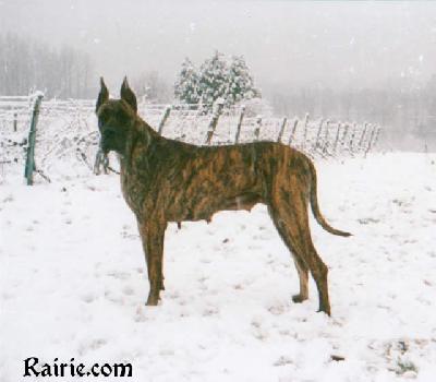 Dixie De La  Roche Fortune