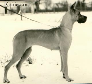 Furie De La Templerie