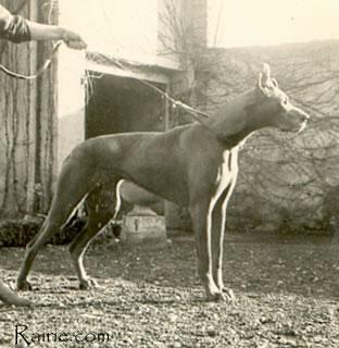 Iperry De La Templerie