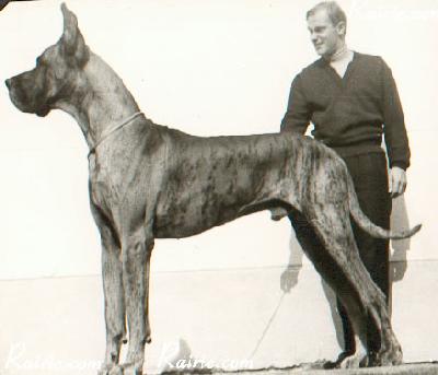 Ch Logos De La Templerie