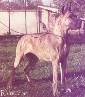 Nausicaa De La Templerie