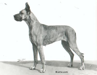 Nausicaa De La Templerie