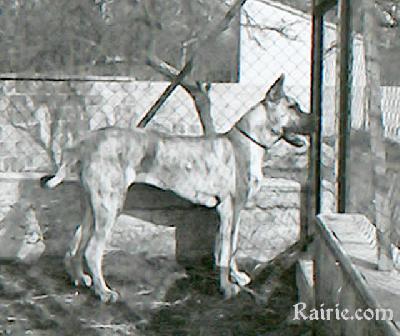 Q�ouarba De La Templerie