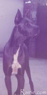 Quastor 1 De La Templerie