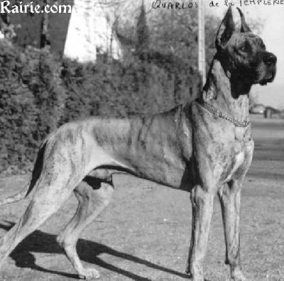 Ch Quarlo De La Templerie