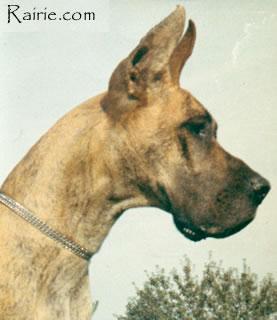 Ch Ruby De La Templerie