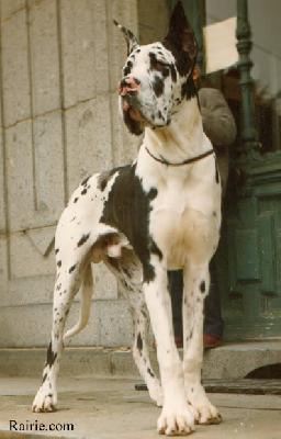 Ch Rude De La Templerie