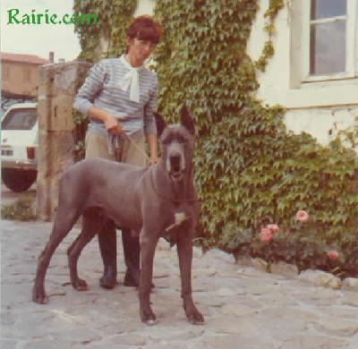 Sindhia De La Templerie