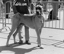 Ch Templier De La Templerie