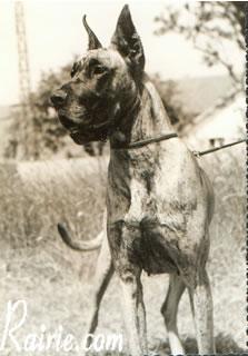 Ch Tilsit De La Templerie