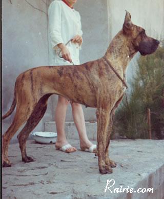 Ch Umbra De La Templerie