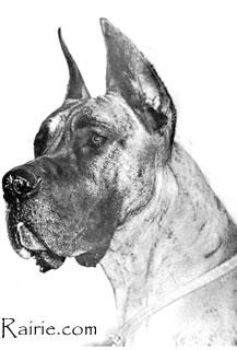 Ch Urgo De La Templerie