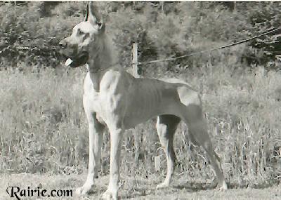 Toscane De La Vallee De Civadoux