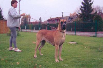 Phrann De La Vallee Du Prieure