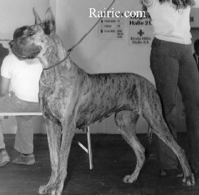 Ch Lara De Laygues River