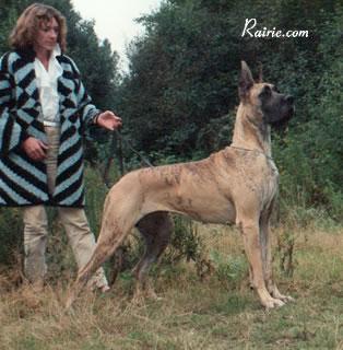 Ch Talma De Laygues River