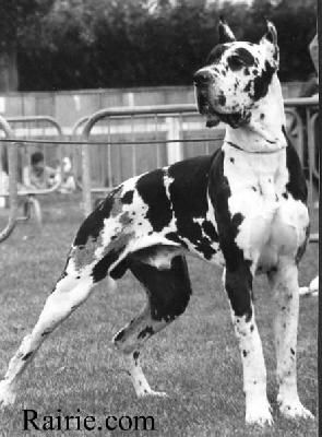 Ch Ophir De Montbrien