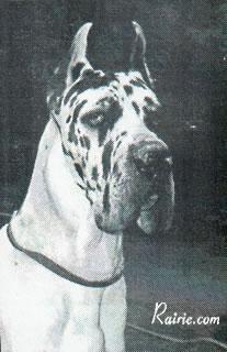 Couky De Mourre Frais